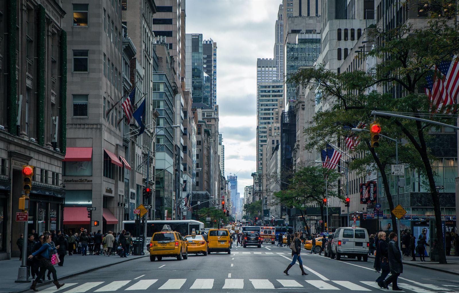 New York Linguistics Academy